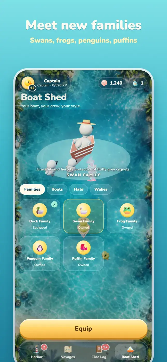 Meet new families: swans, frogs, penguins and puffins